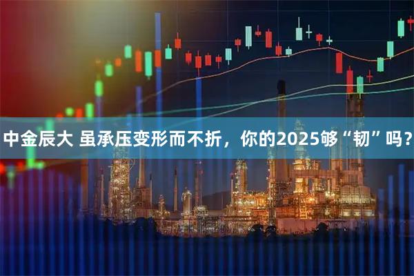 中金辰大 虽承压变形而不折，你的2025够“韧”吗？