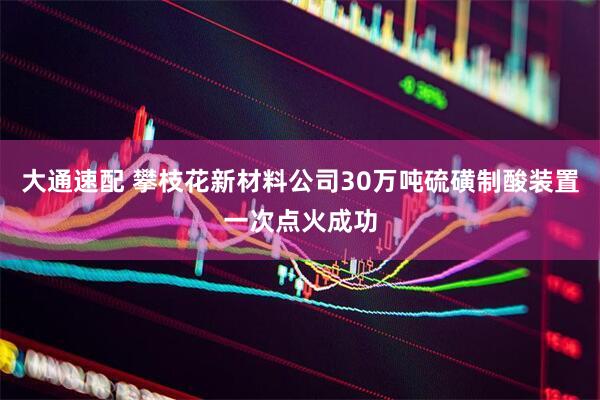 大通速配 攀枝花新材料公司30万吨硫磺制酸装置一次点火成功